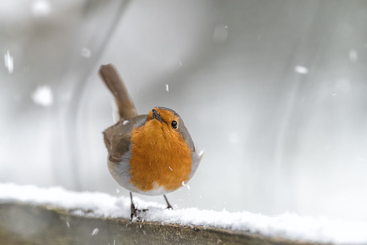 Oh...Schnee im April?!