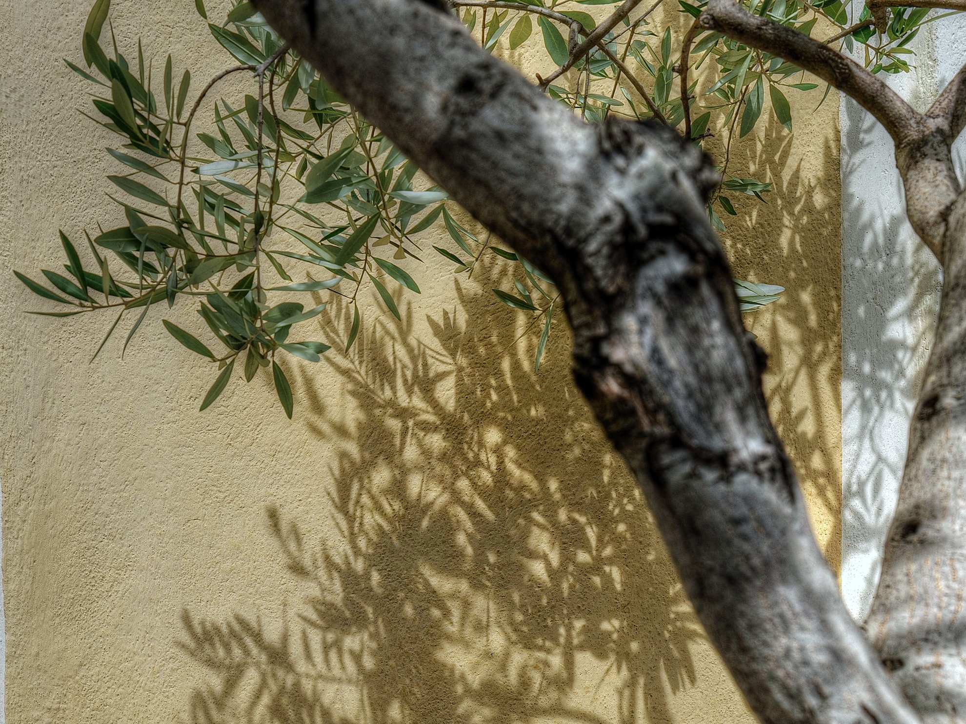 Ohne Titel