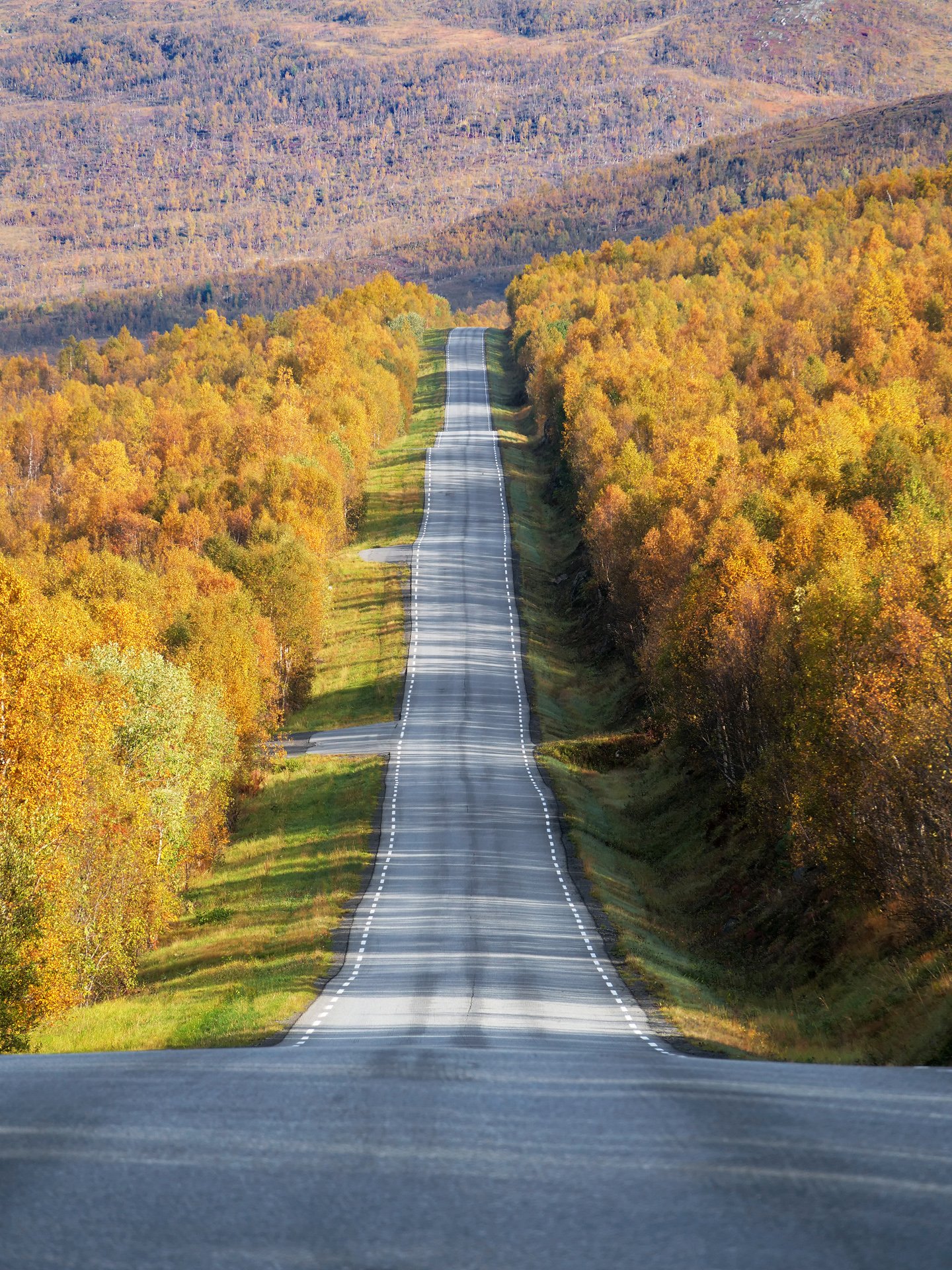 On the Road Again (6)