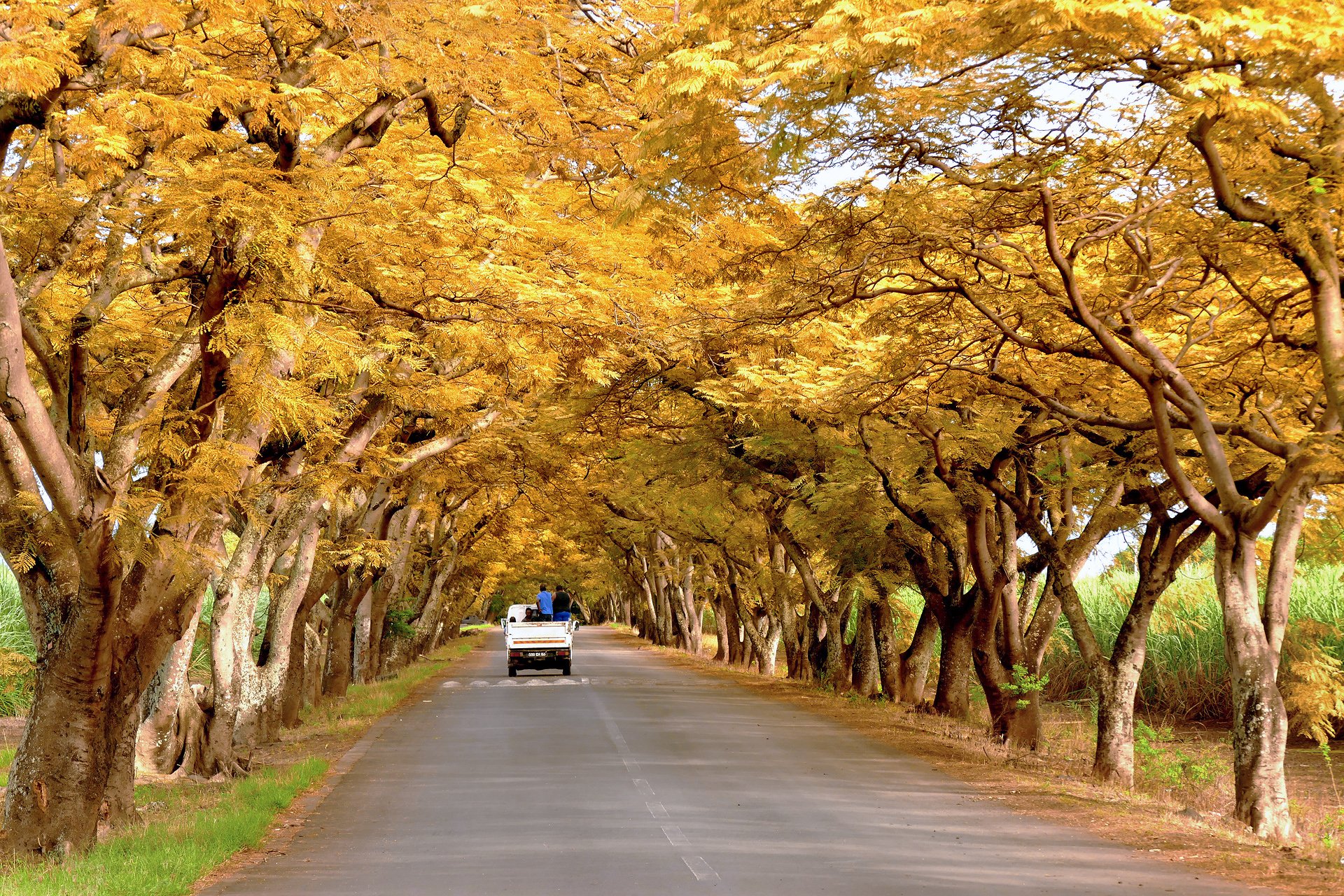 On the Road Again (7)