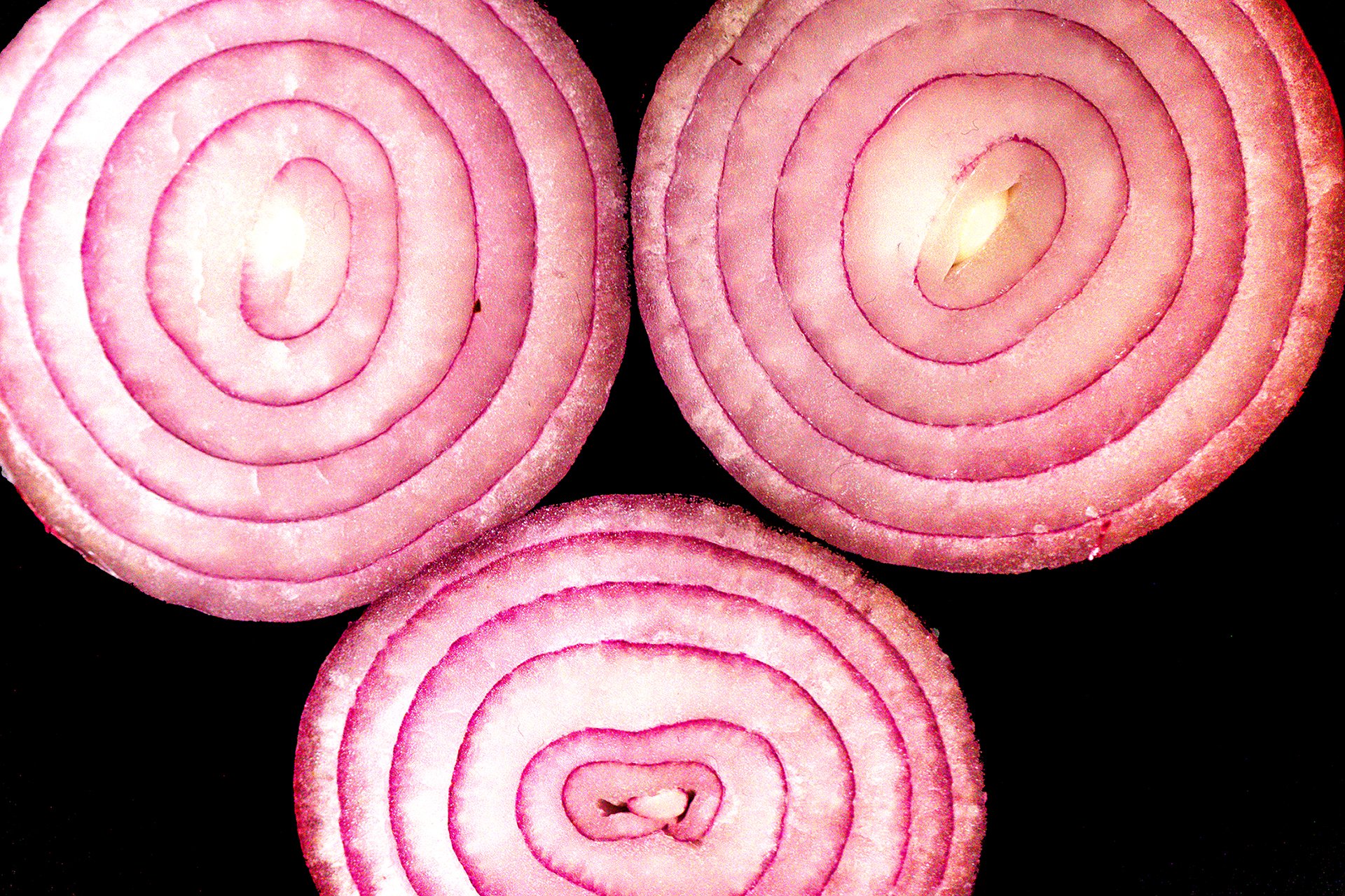 Onion rings #2