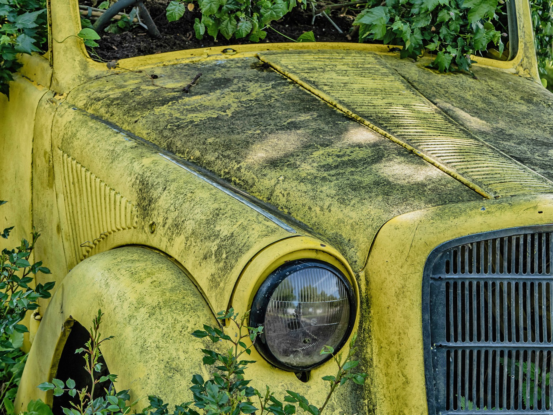 Opel Olympia