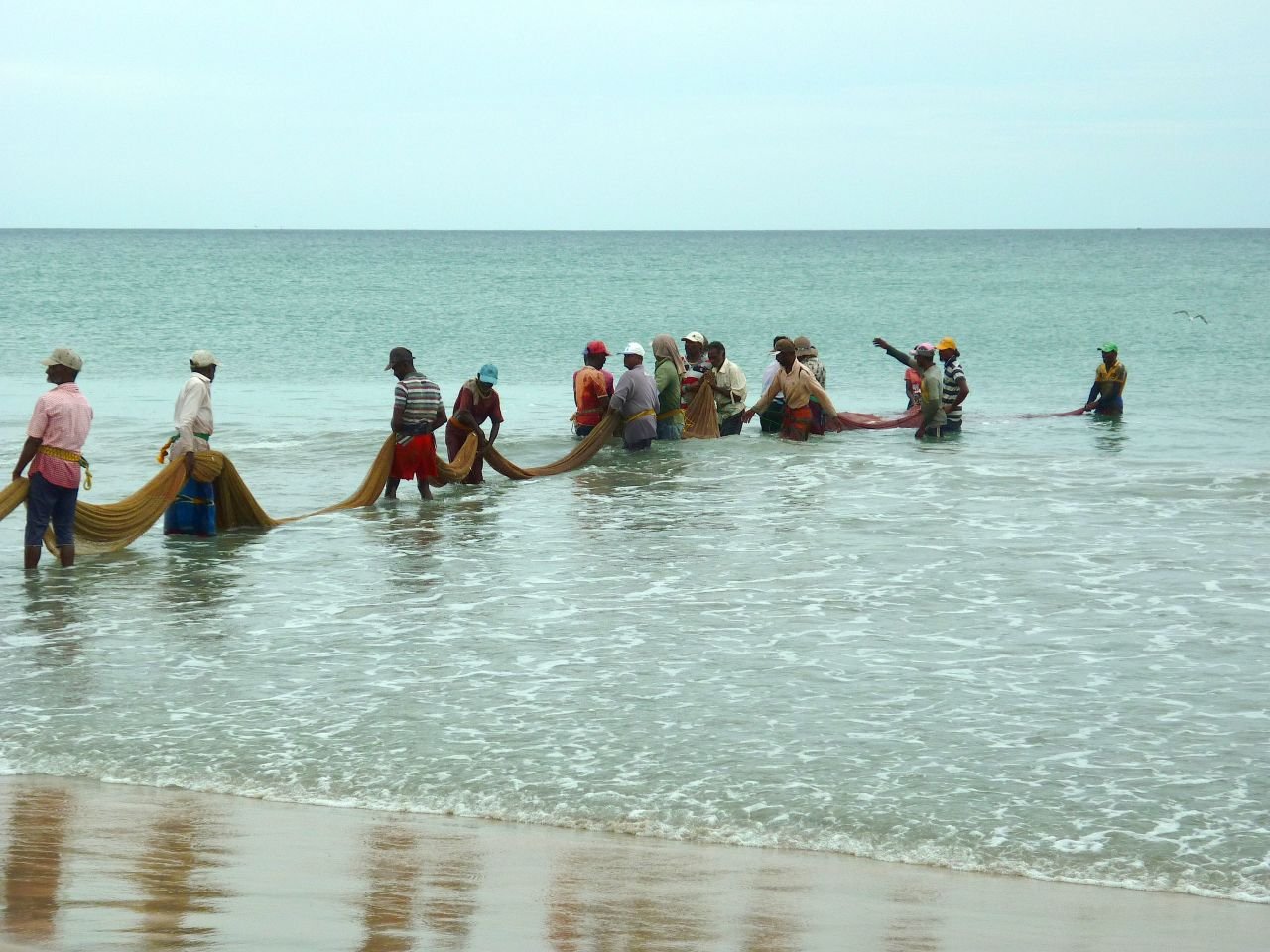 P1060306gFang einholen.jpg