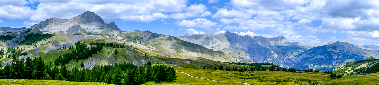 Panorama