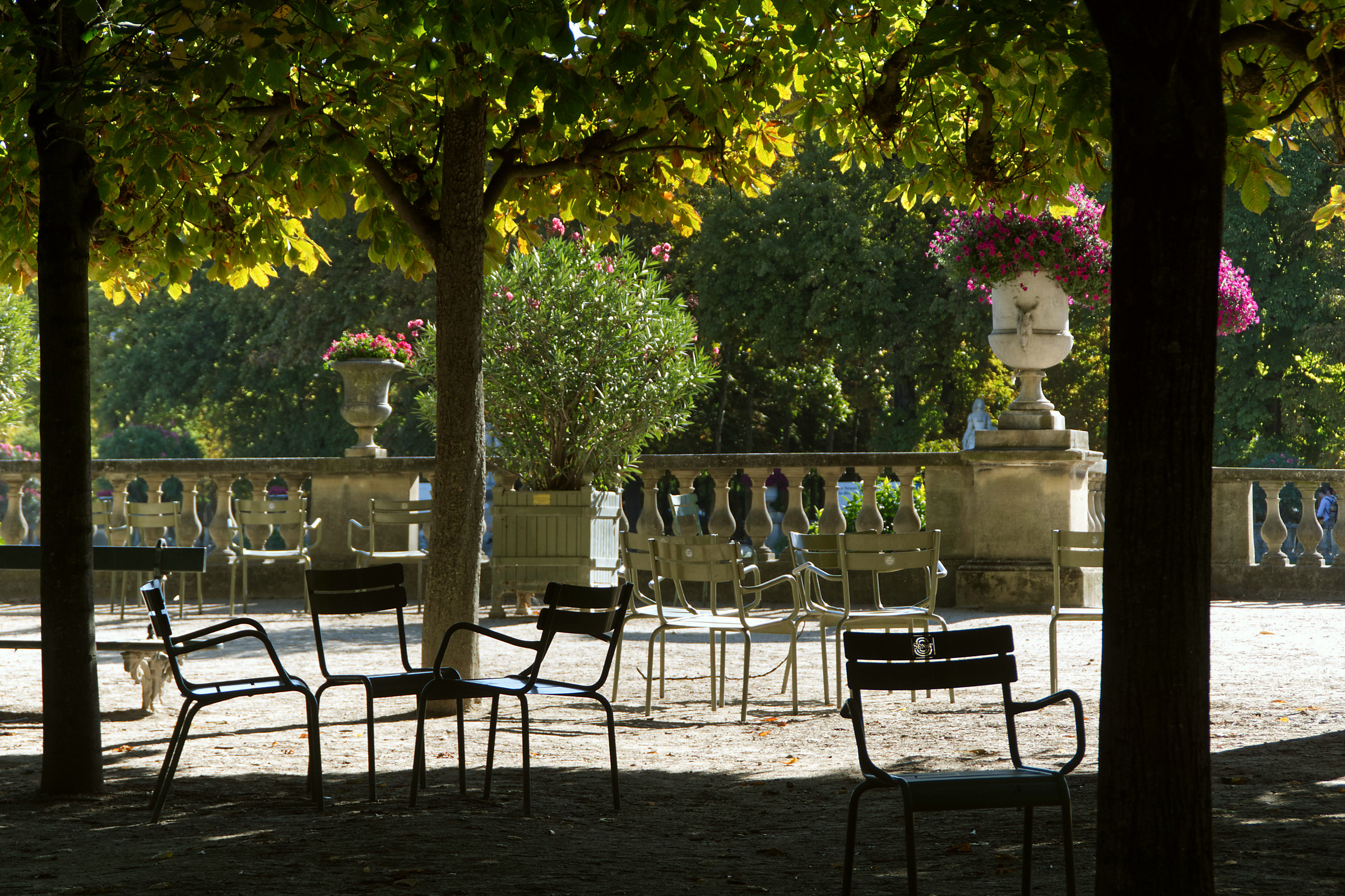 Paris am Morgen