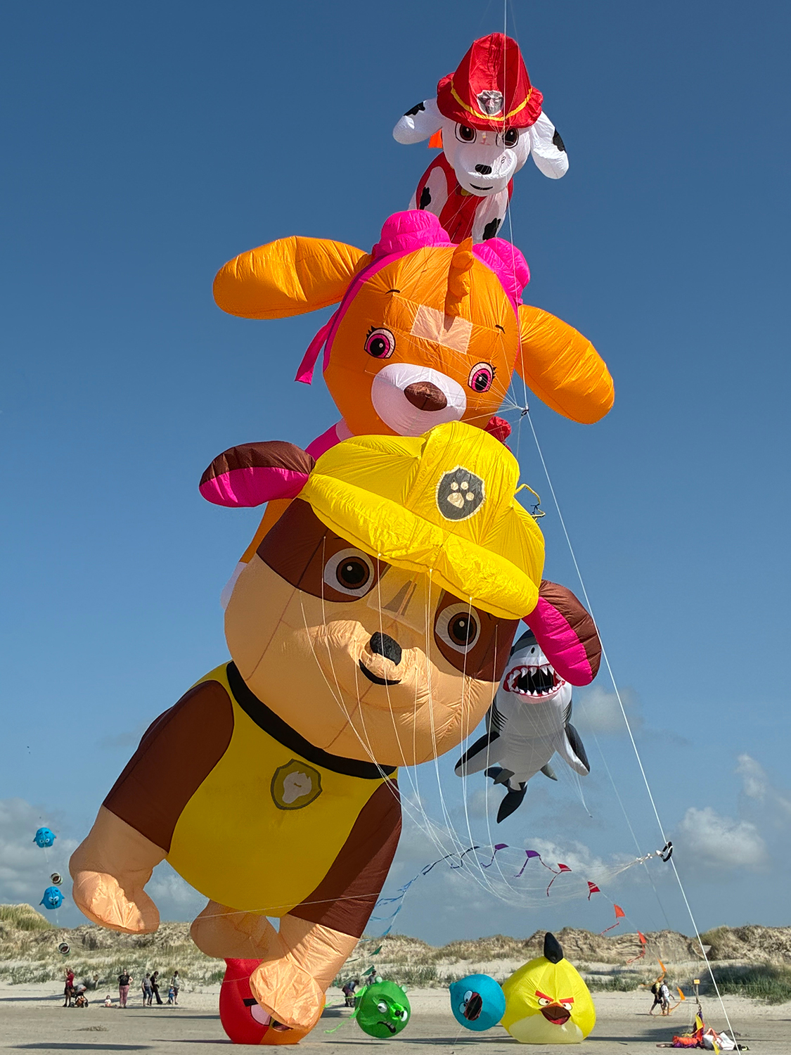 Paw Patrol