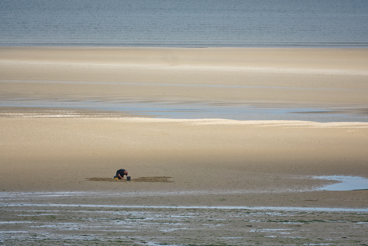 Pêcheur à pied