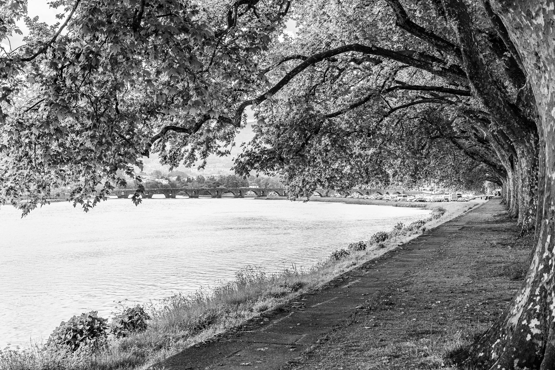 Ponte de Lima