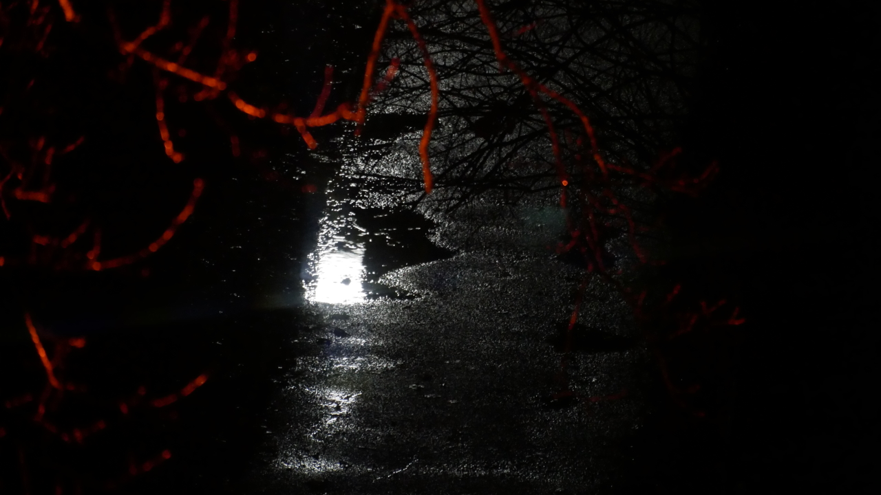 Puddle at night