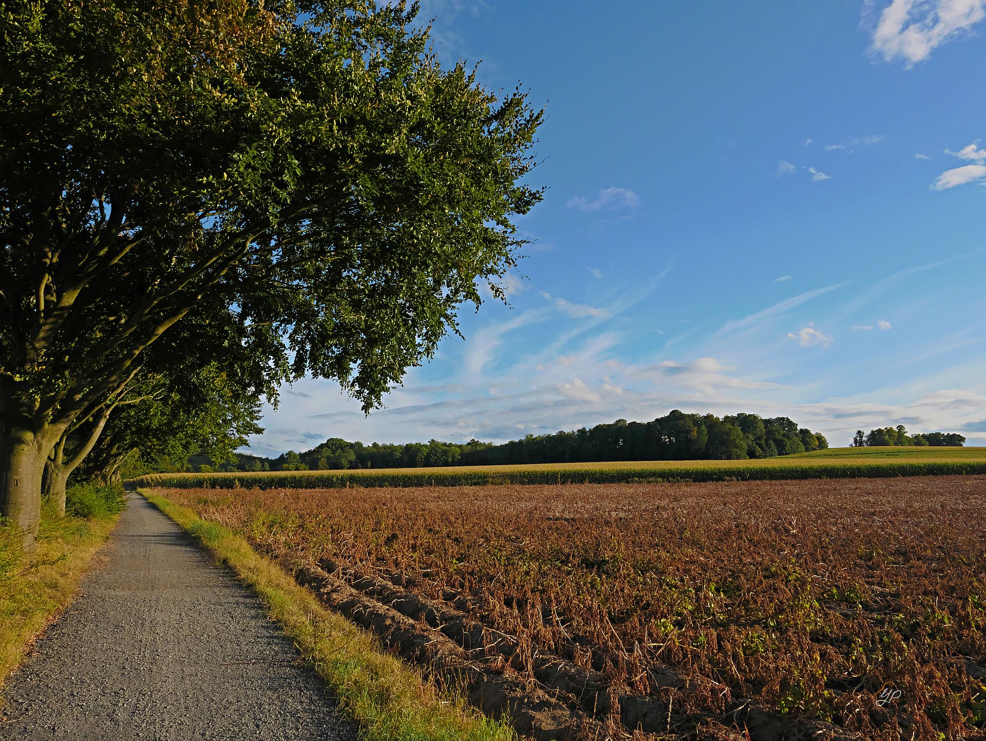 Radwanderweg