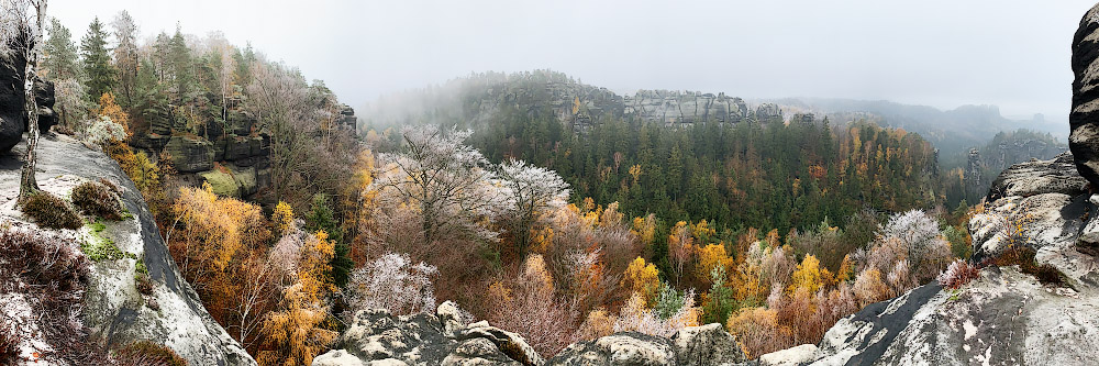 Raureif auf Herbstfarben