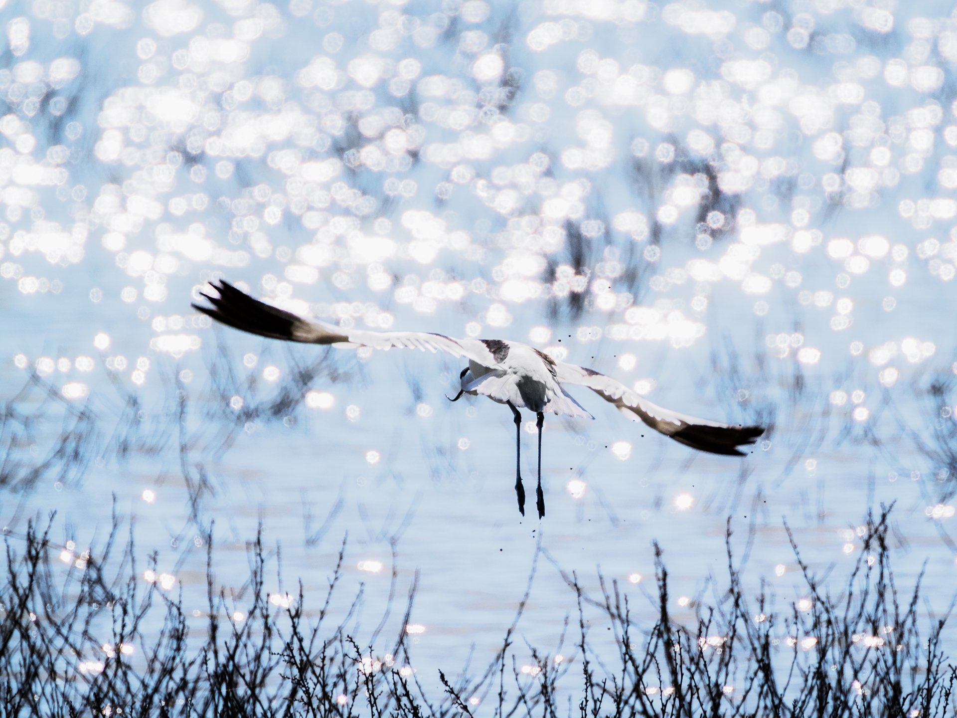 Reflexionen im Wasser