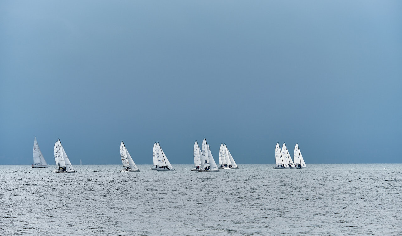 Regatta