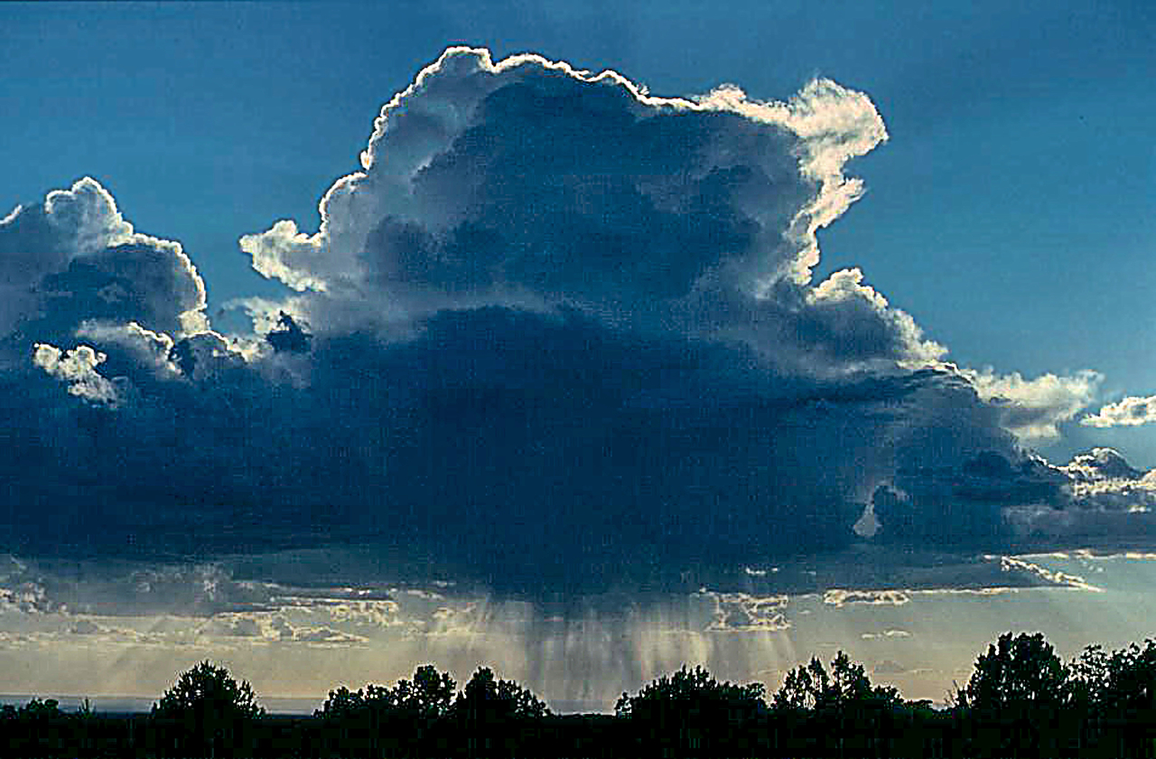 Regen