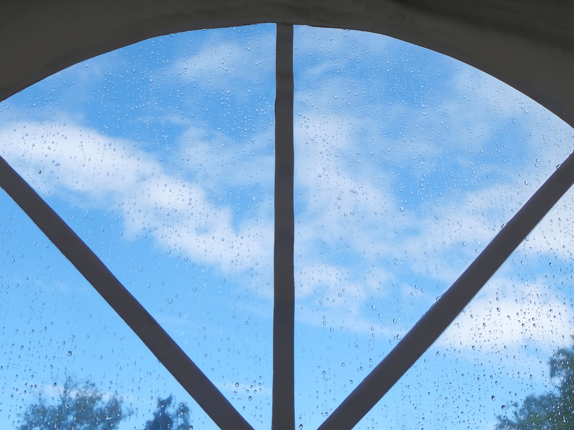 Regen