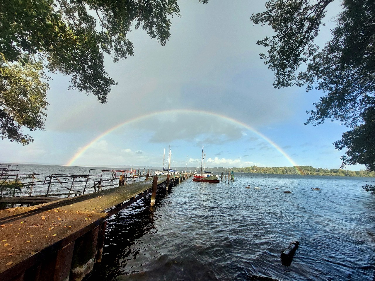 🌈 am gr. Plöner See