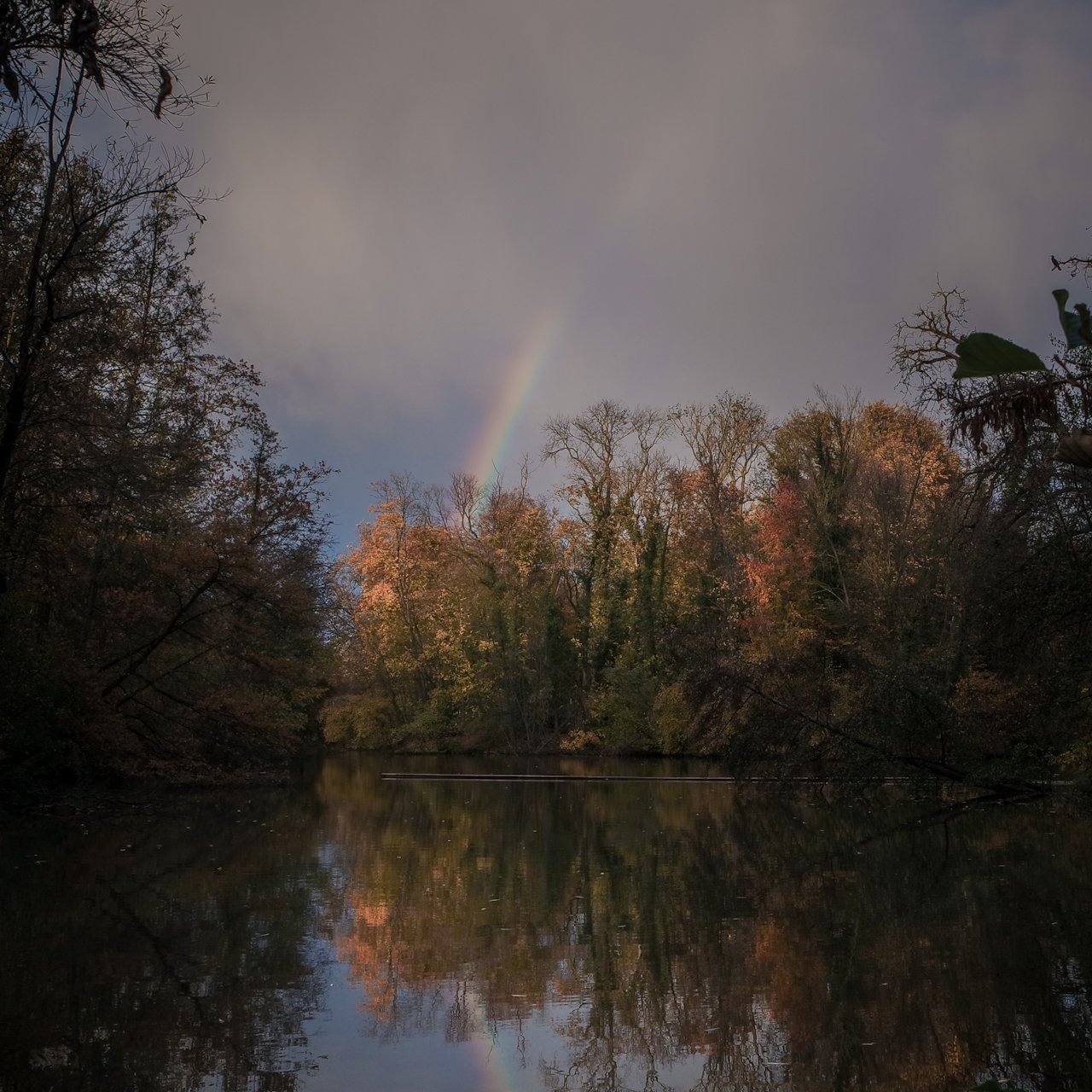 Regenbogen 🌈