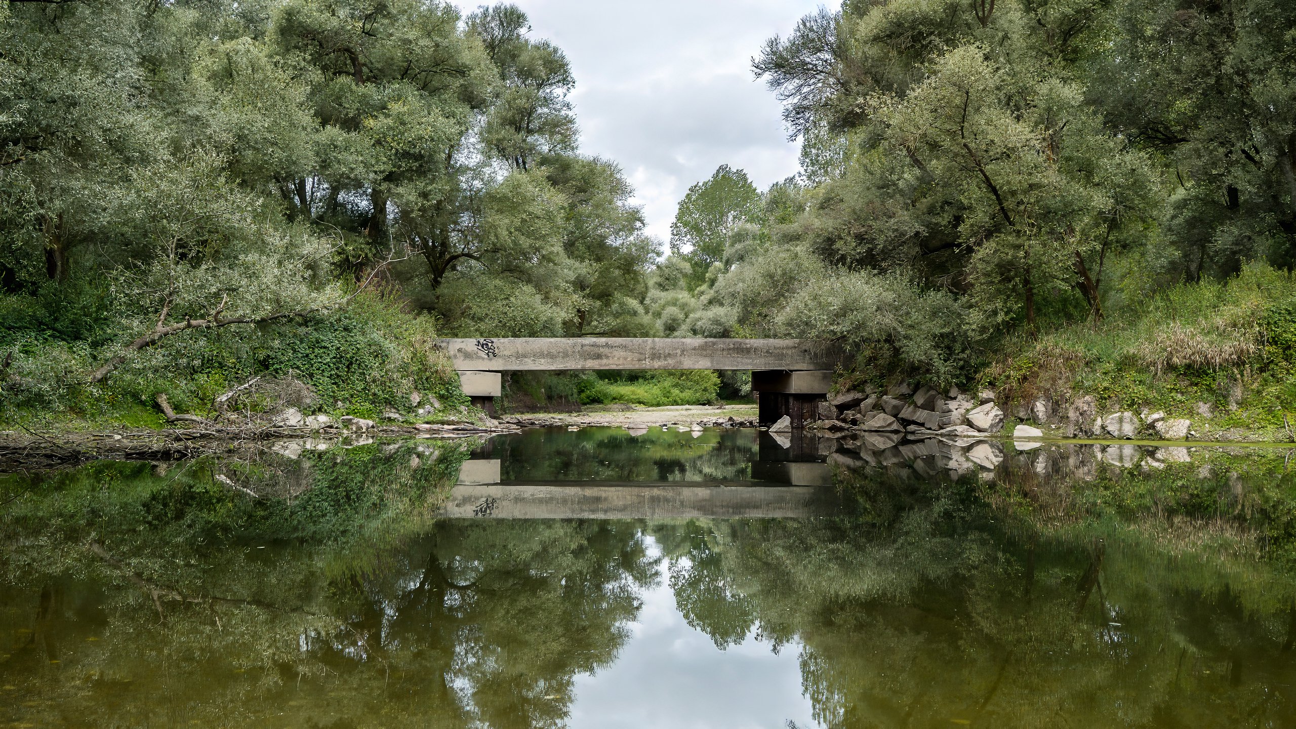 Rheinauen Brücke