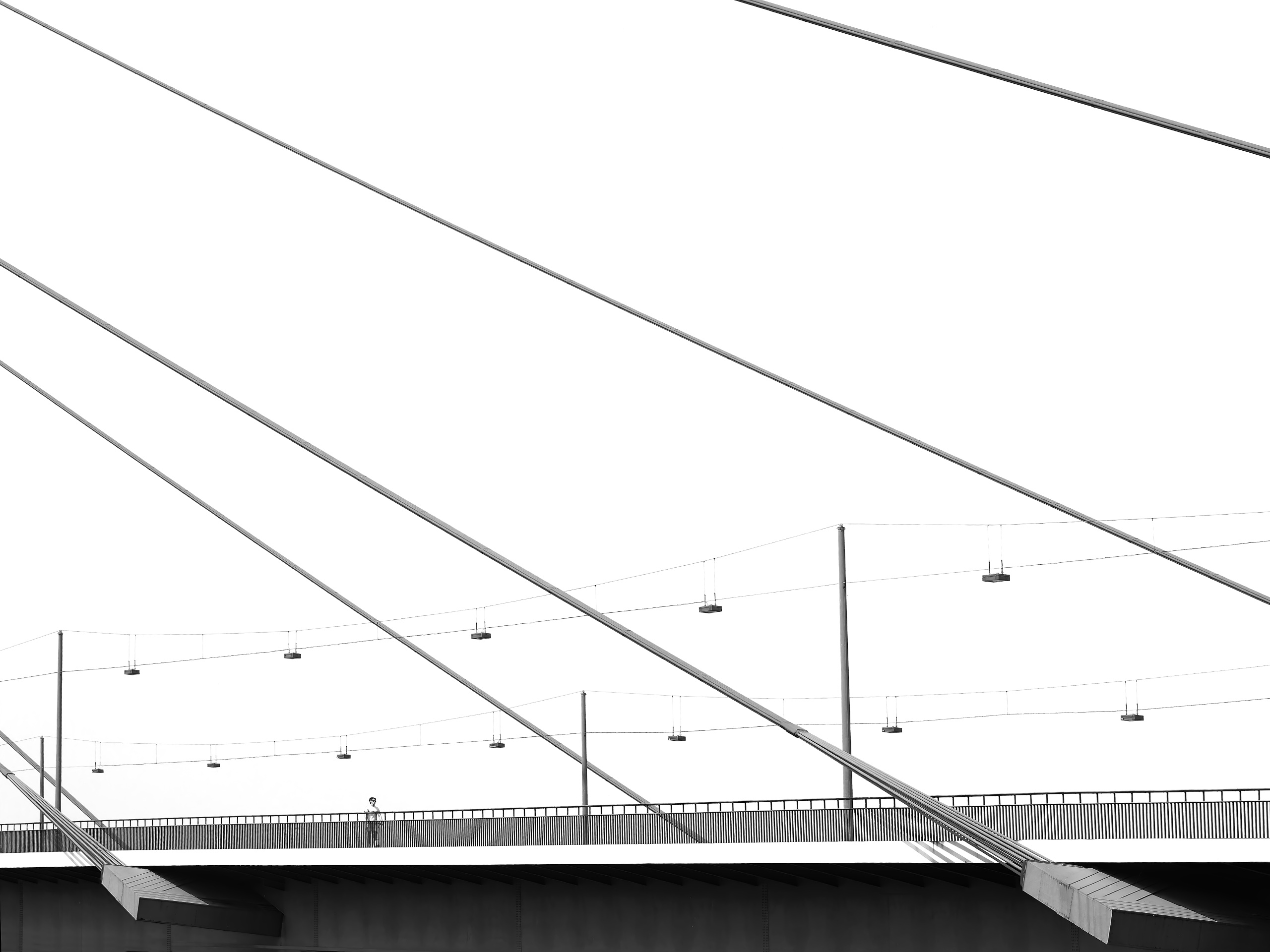 Rheinkniebrücke