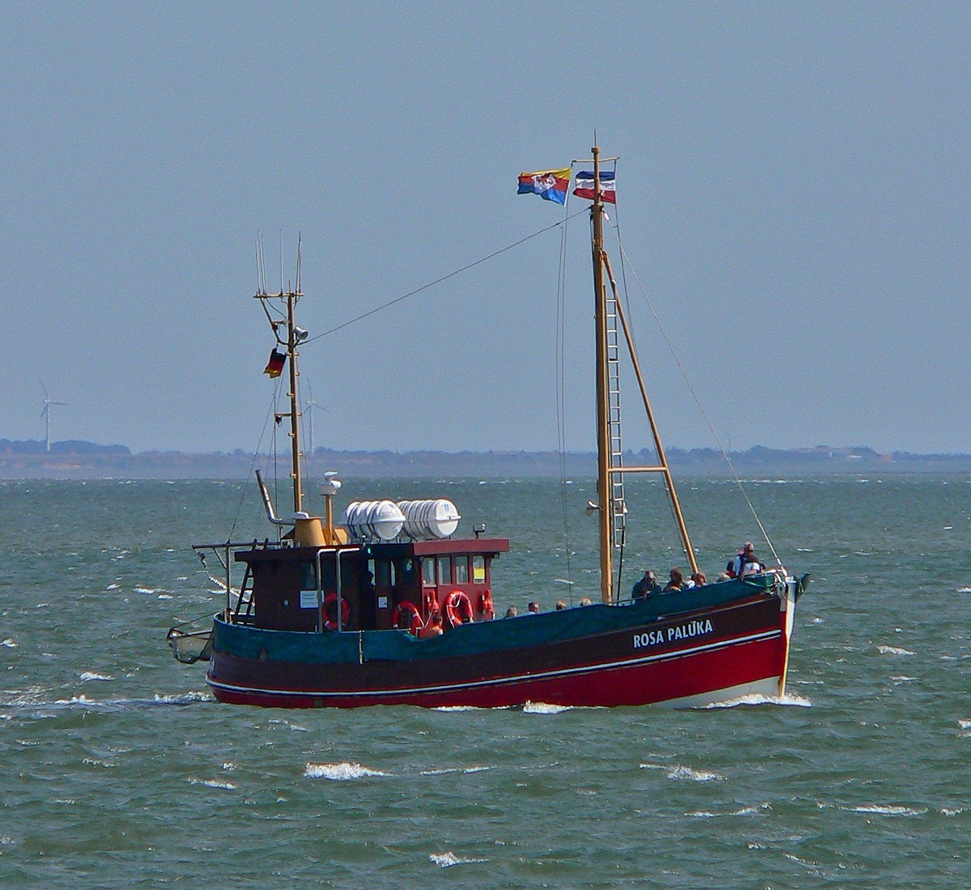 Rosa Paluka