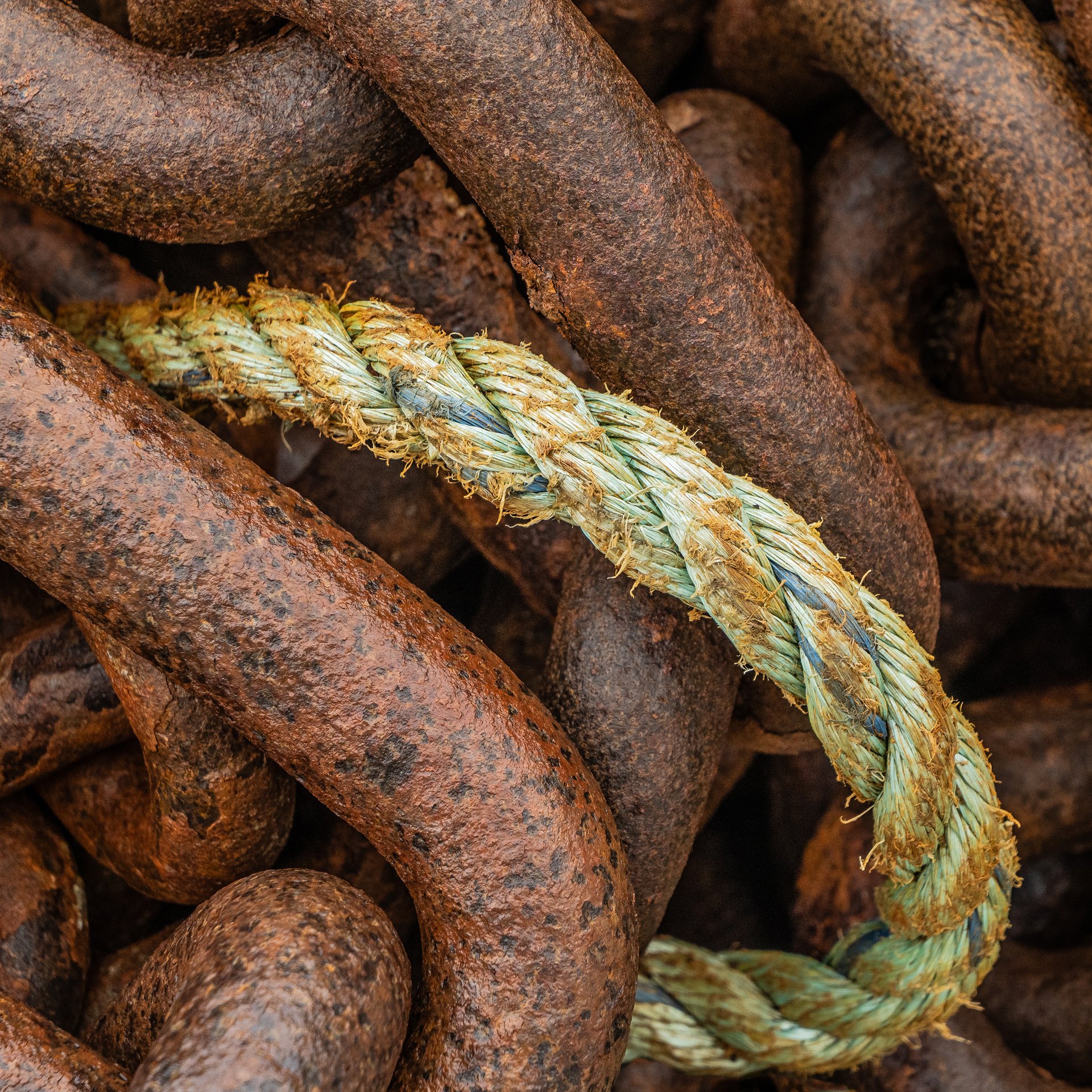 Rost
