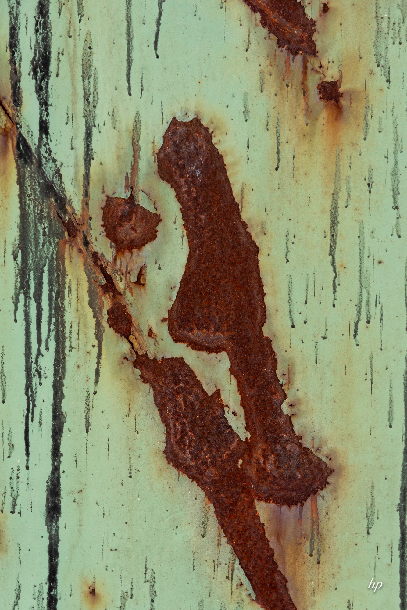 Rost