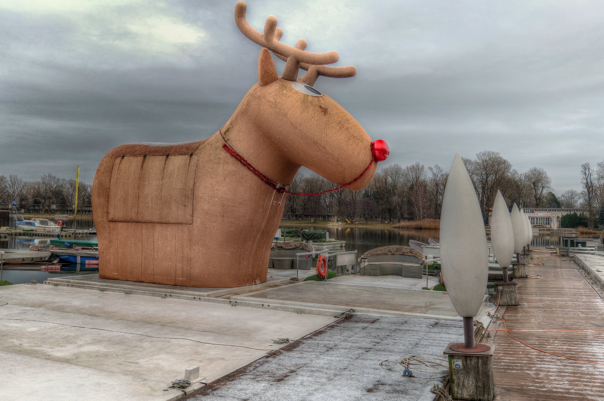 Rudi bleibt ....  (2)