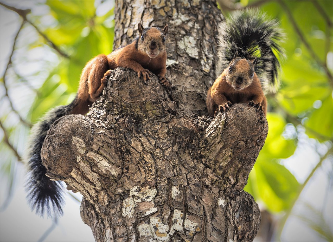 Rueckblick auf`s alte Jahr