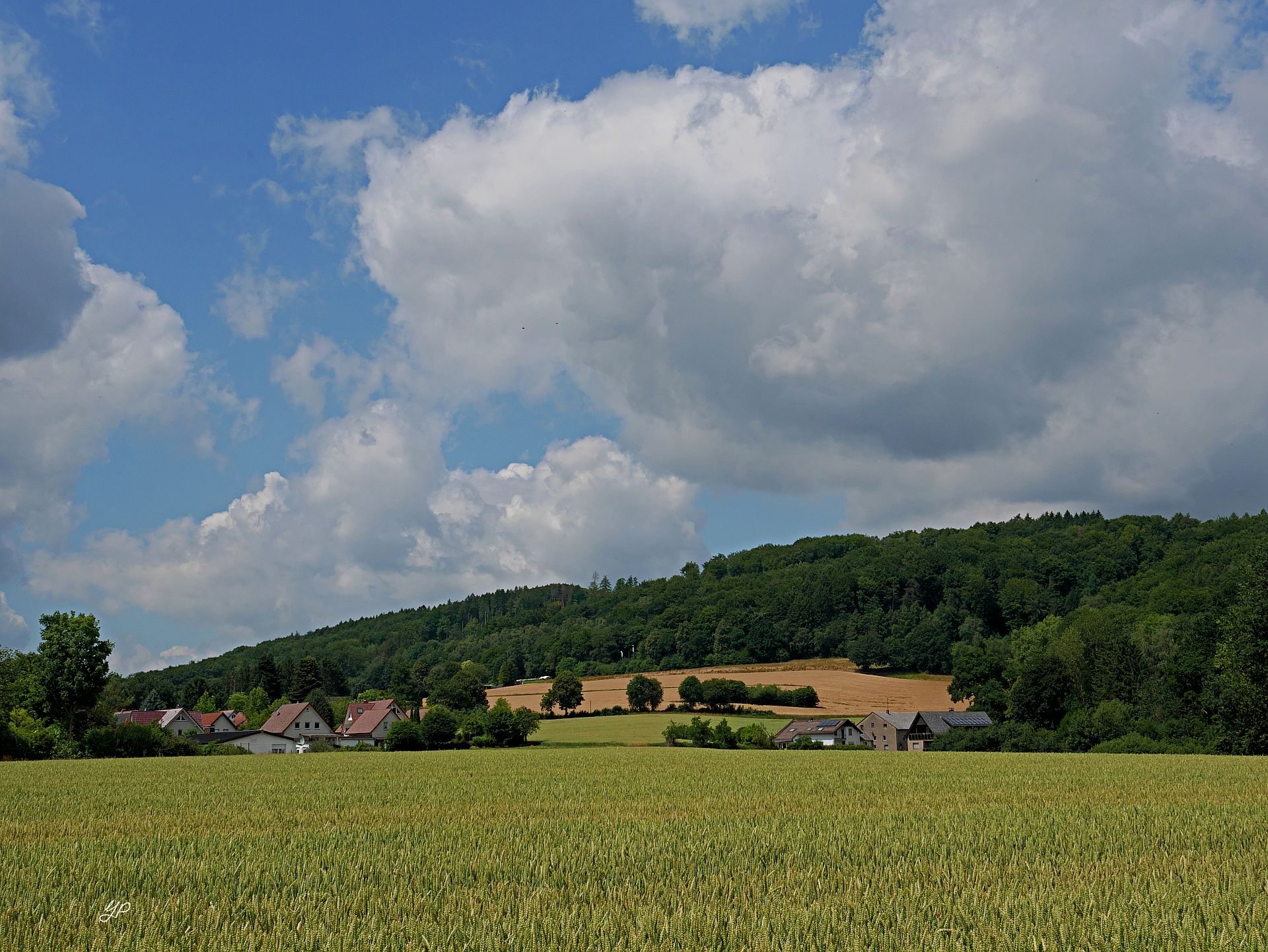 Rückblick
