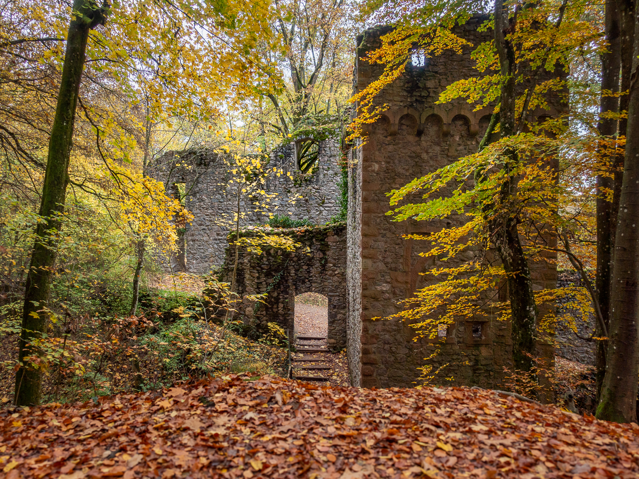 Ruine Rodenstein