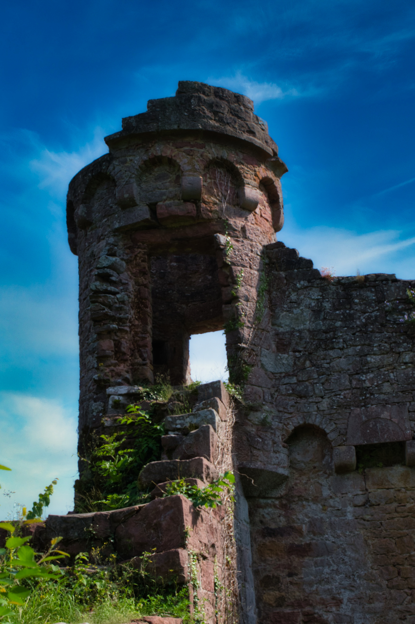 Ruine Wildenburg