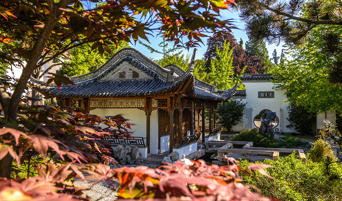 Rund um den Wohnort: Chinesischer Garten