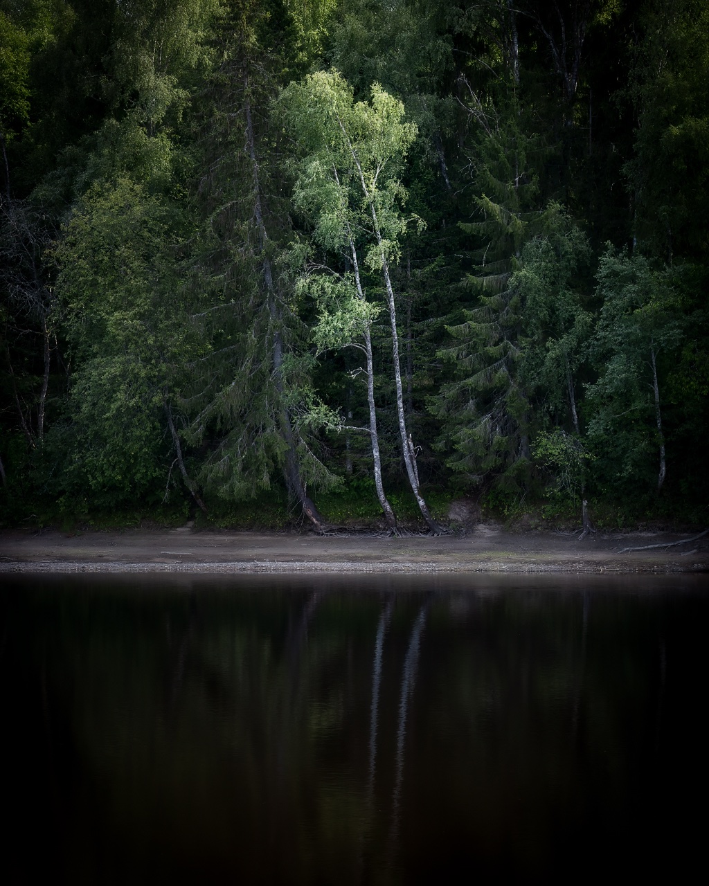 S082026_Am anderen Ufer_Klarälven_Björkebo.jpg