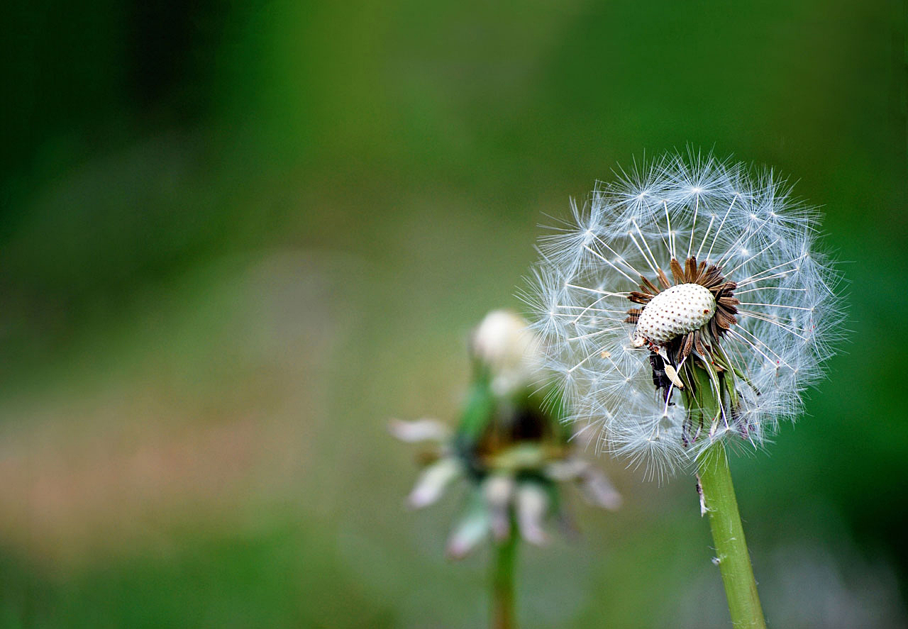 Samen...