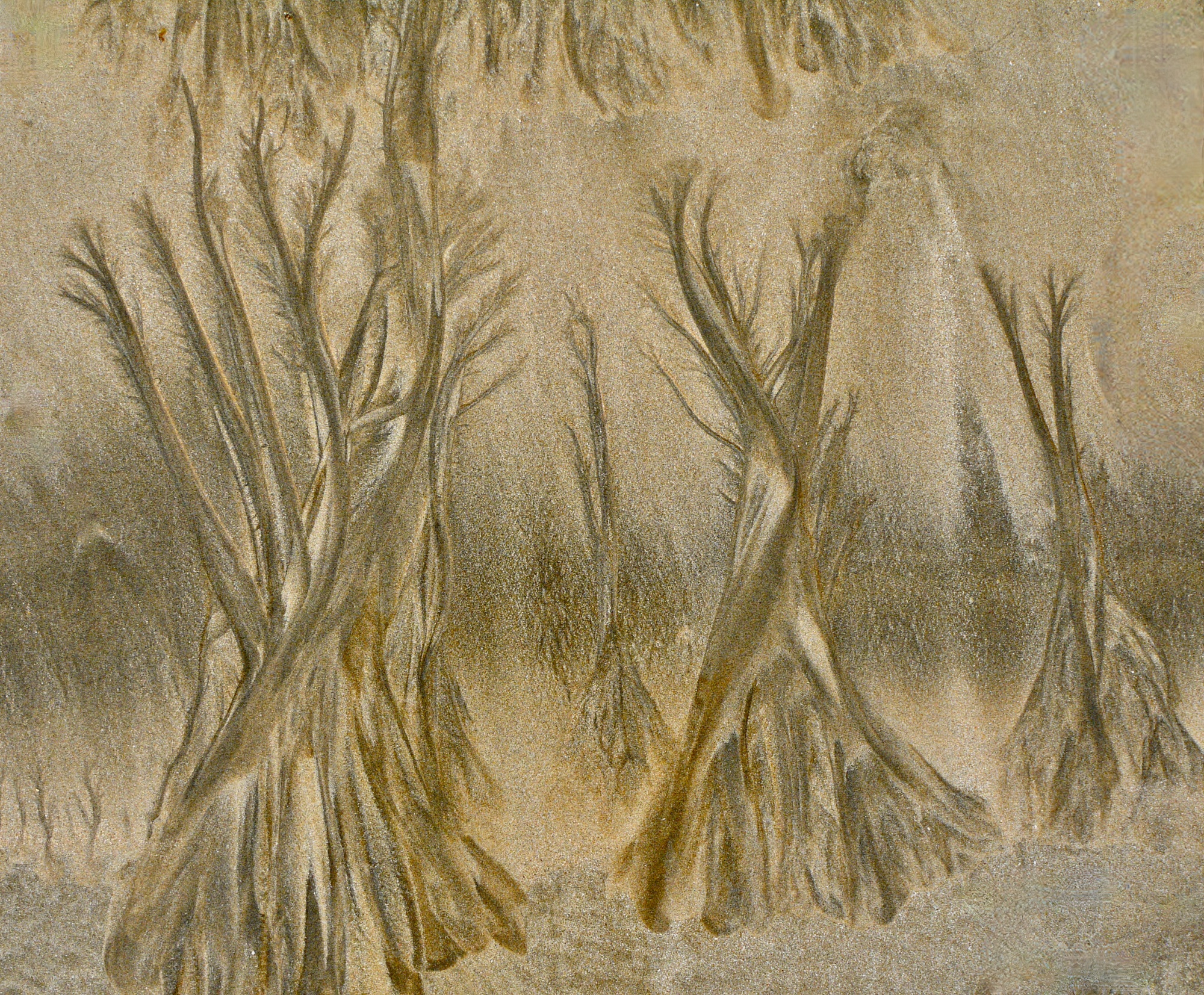 ... Sand’wald‘