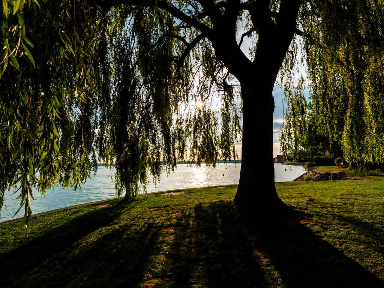 Schatten-Blick zum Bodensee