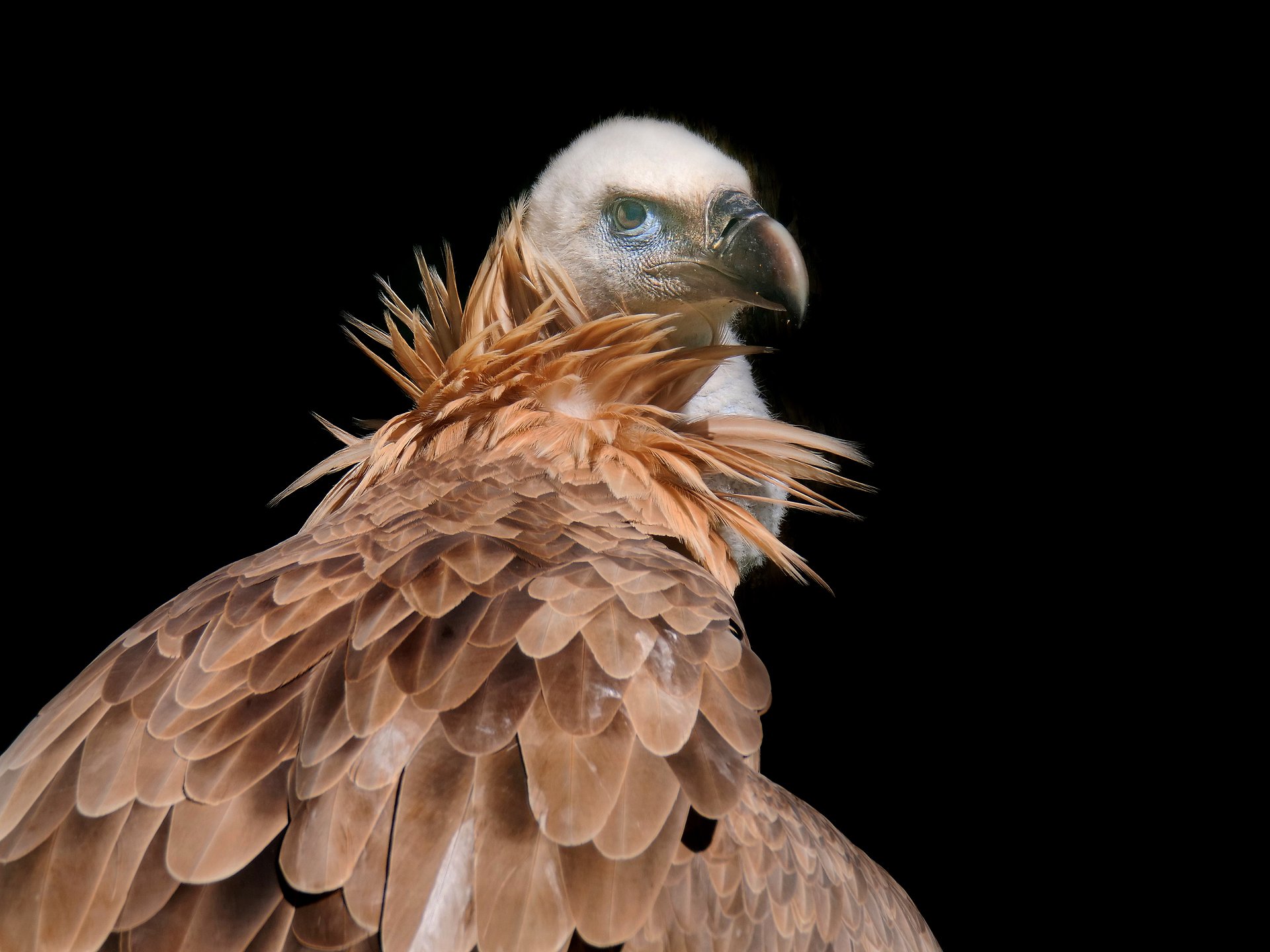Schick für`s Dinner