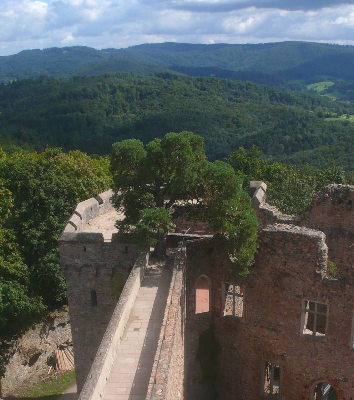 Schloss Auerbach