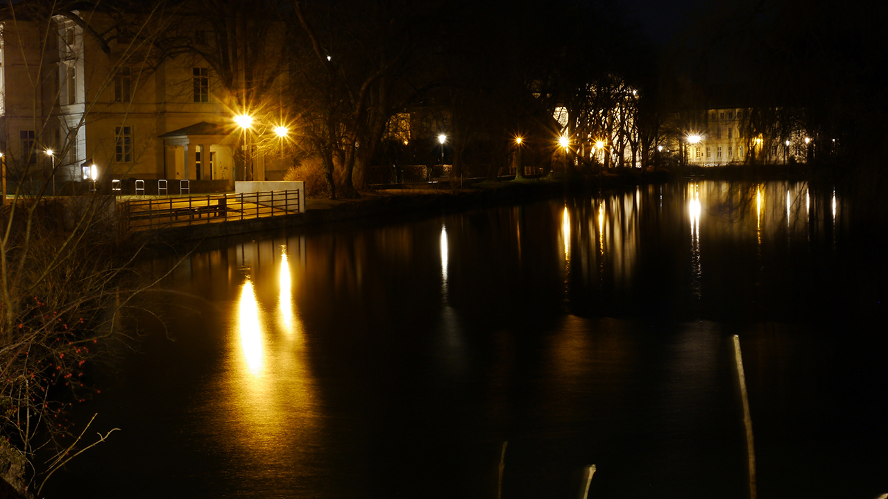 Schlossteich im Februar