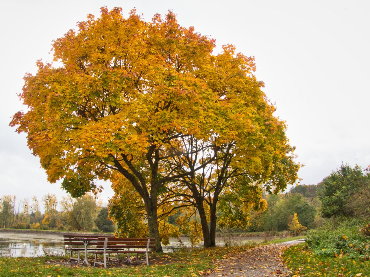 Schmuddelwetter 2