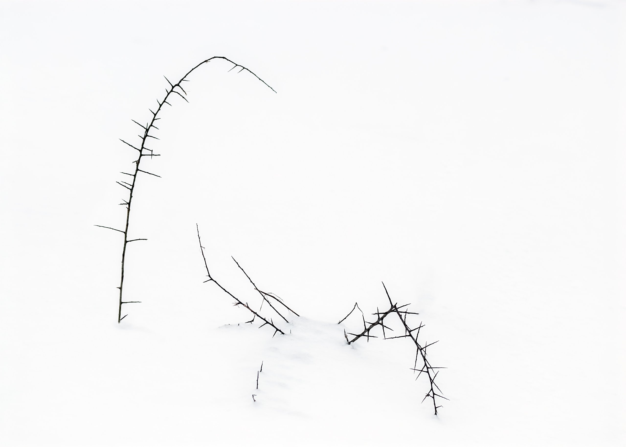 Schneebedeckt