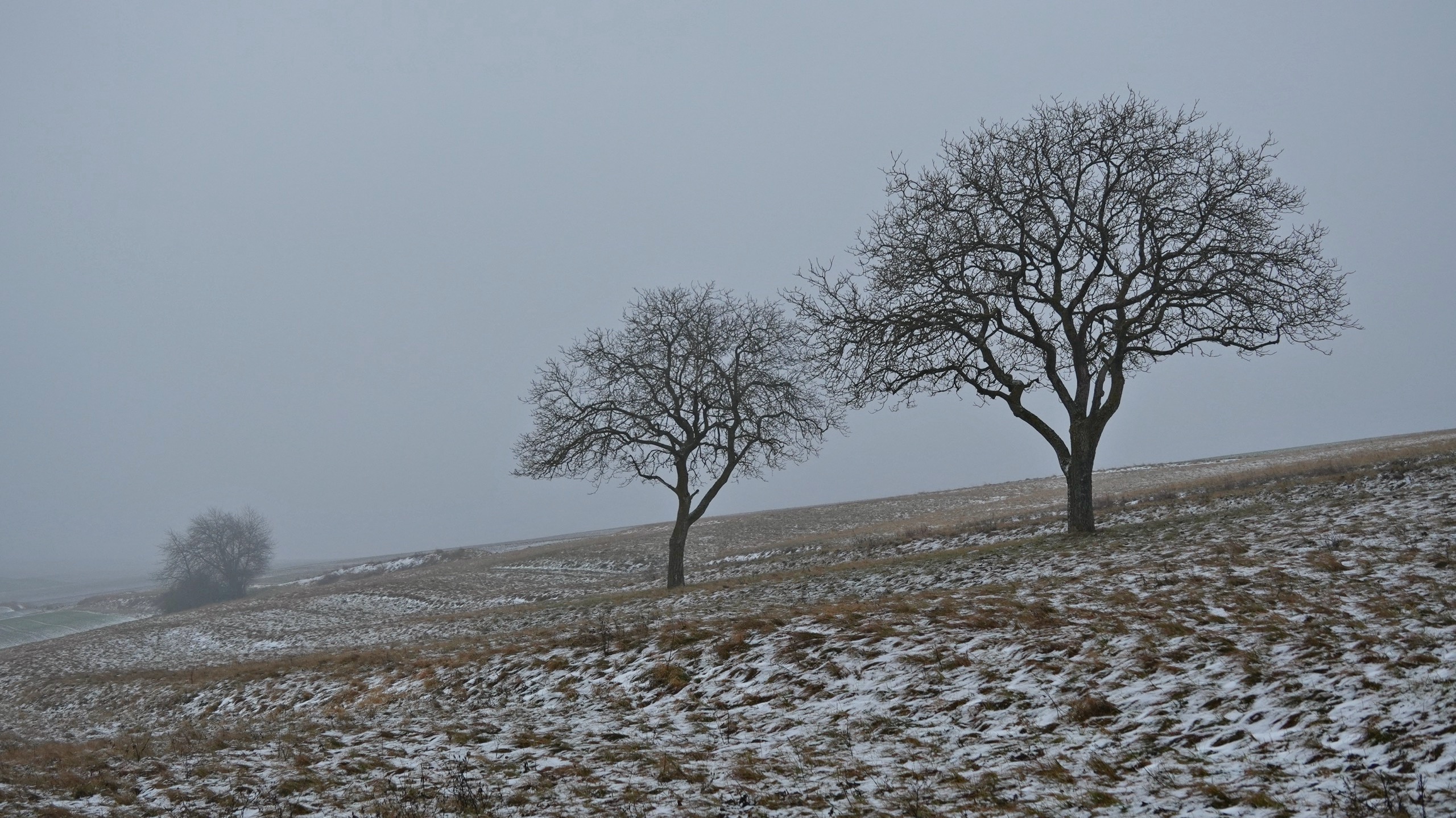 Schneepracht - Ade.jpg