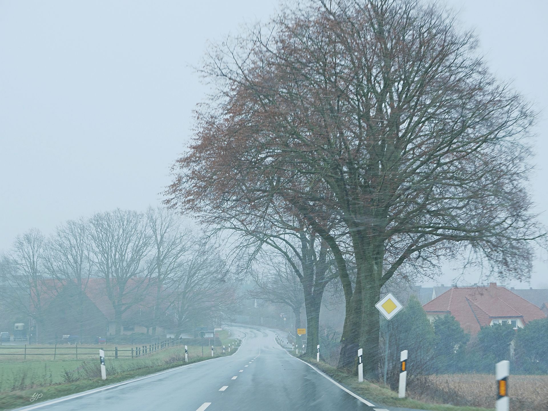 Schneeregen und Sturmwind