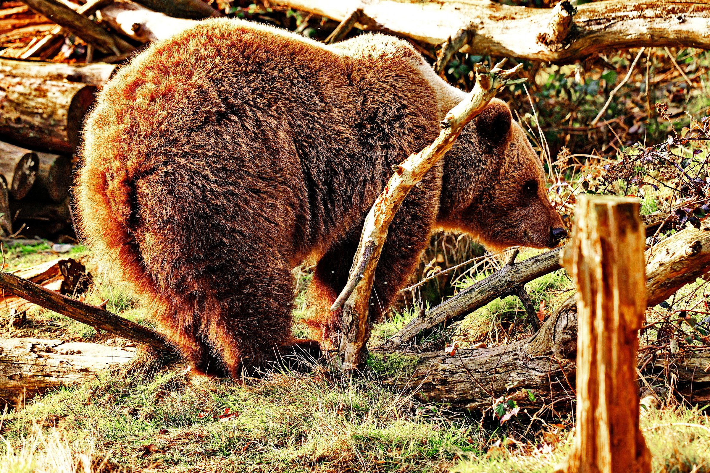 "Schöner Rücken..."