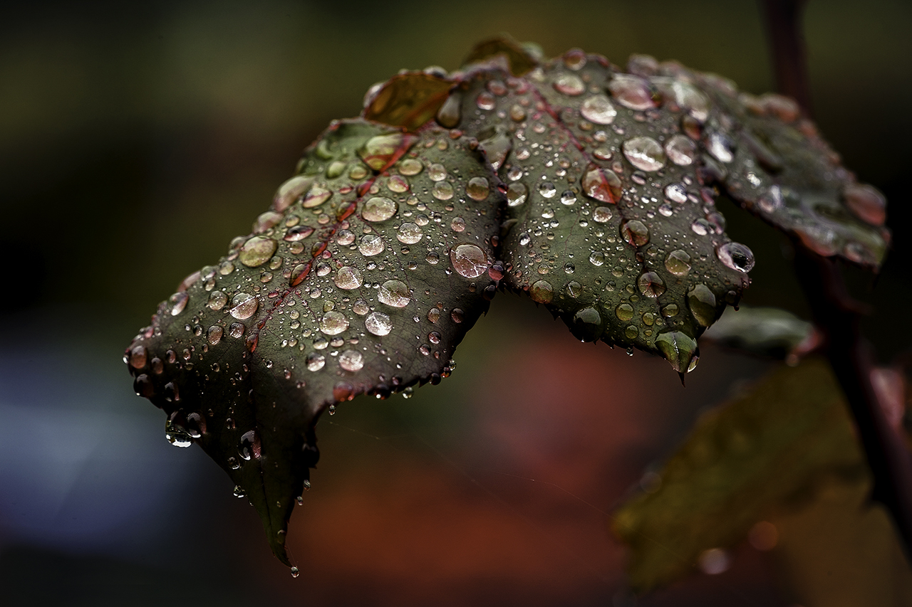 Schönwetterphase ^^