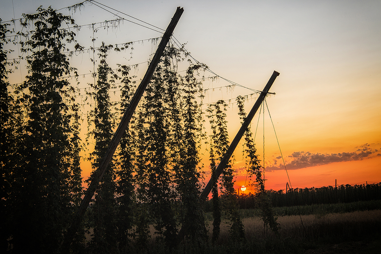 Schon wieder ein Sonnenuntergang