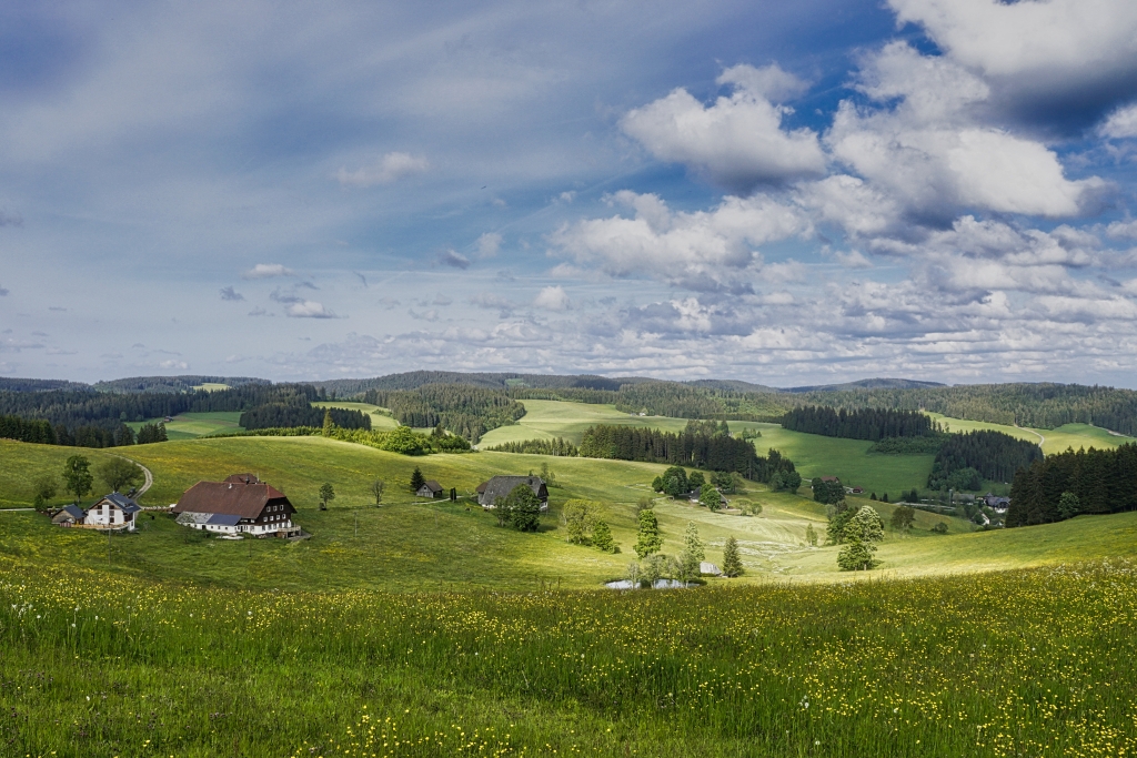 Schwarzwaldtal