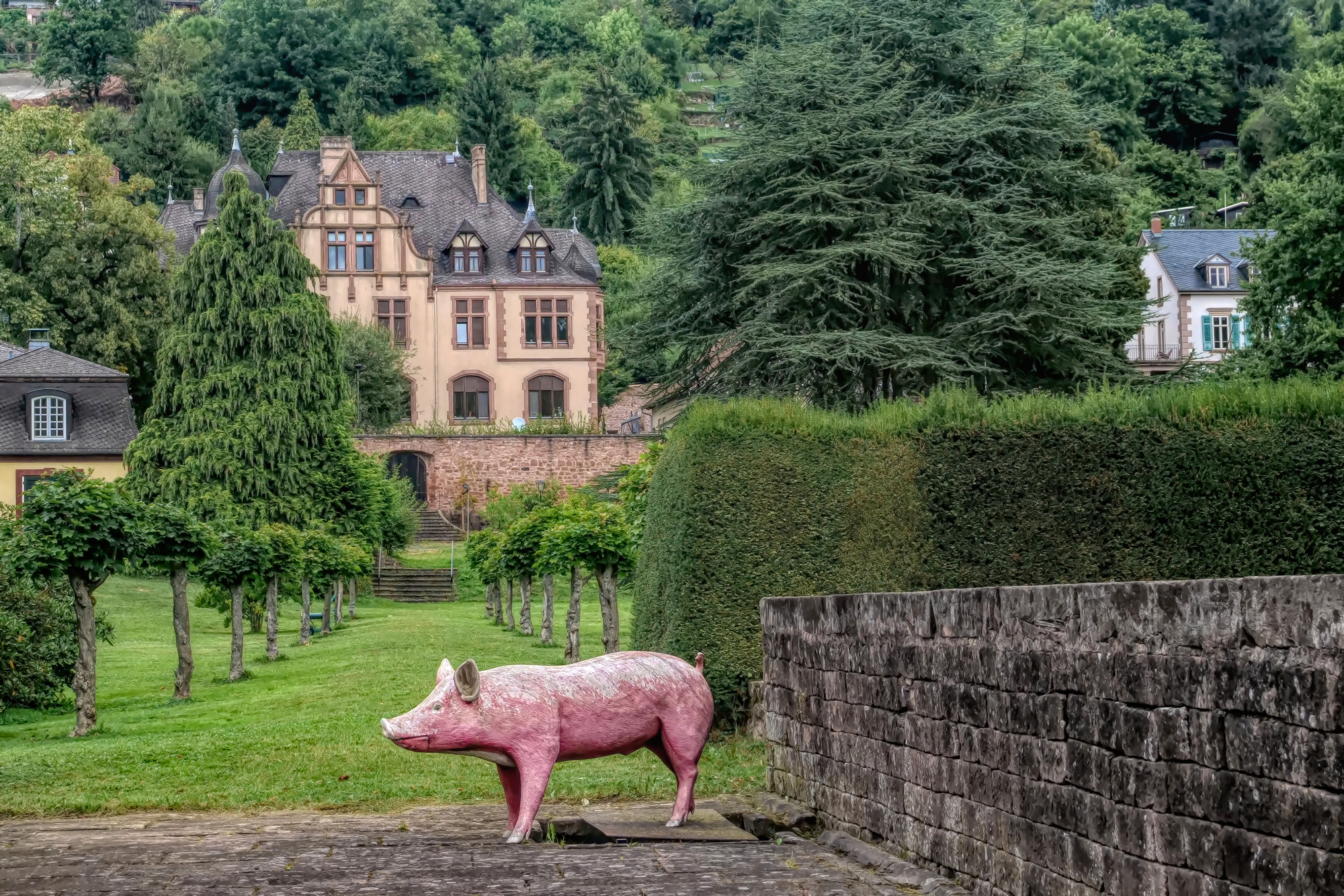 Schwein gehabt