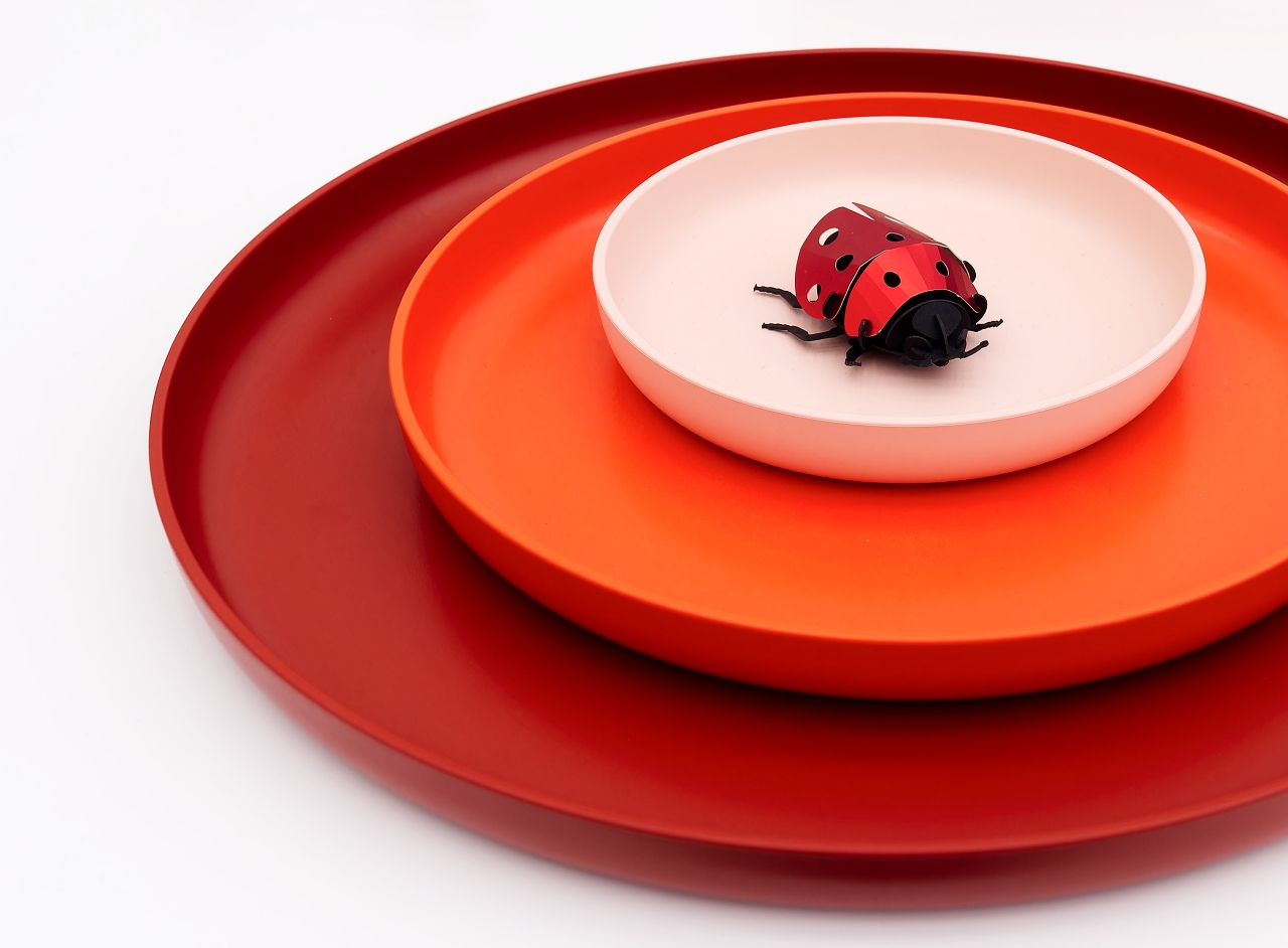 Sechspunkt-Marienkäfer 😀