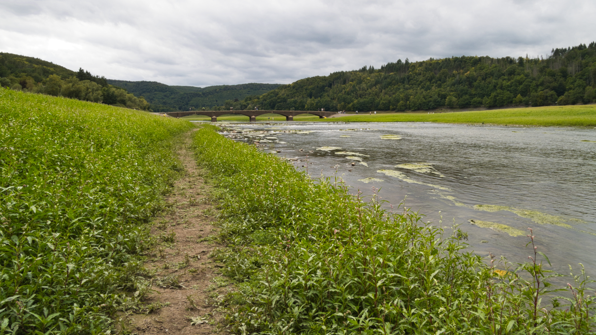 Seegrund